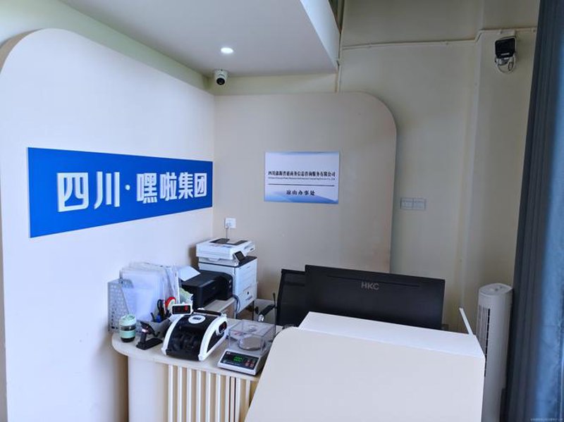 企业信息化:引领未来商业模式的新浪潮